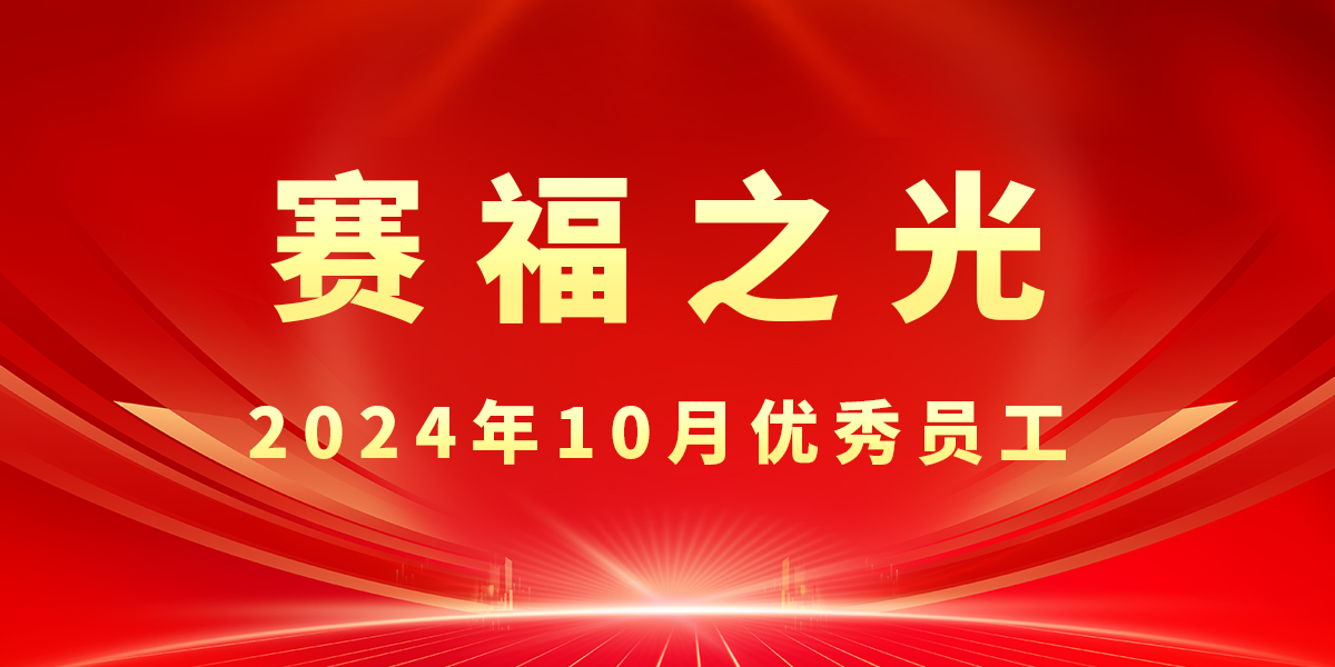 【赛福之光】2024年10月优秀员工先进事迹